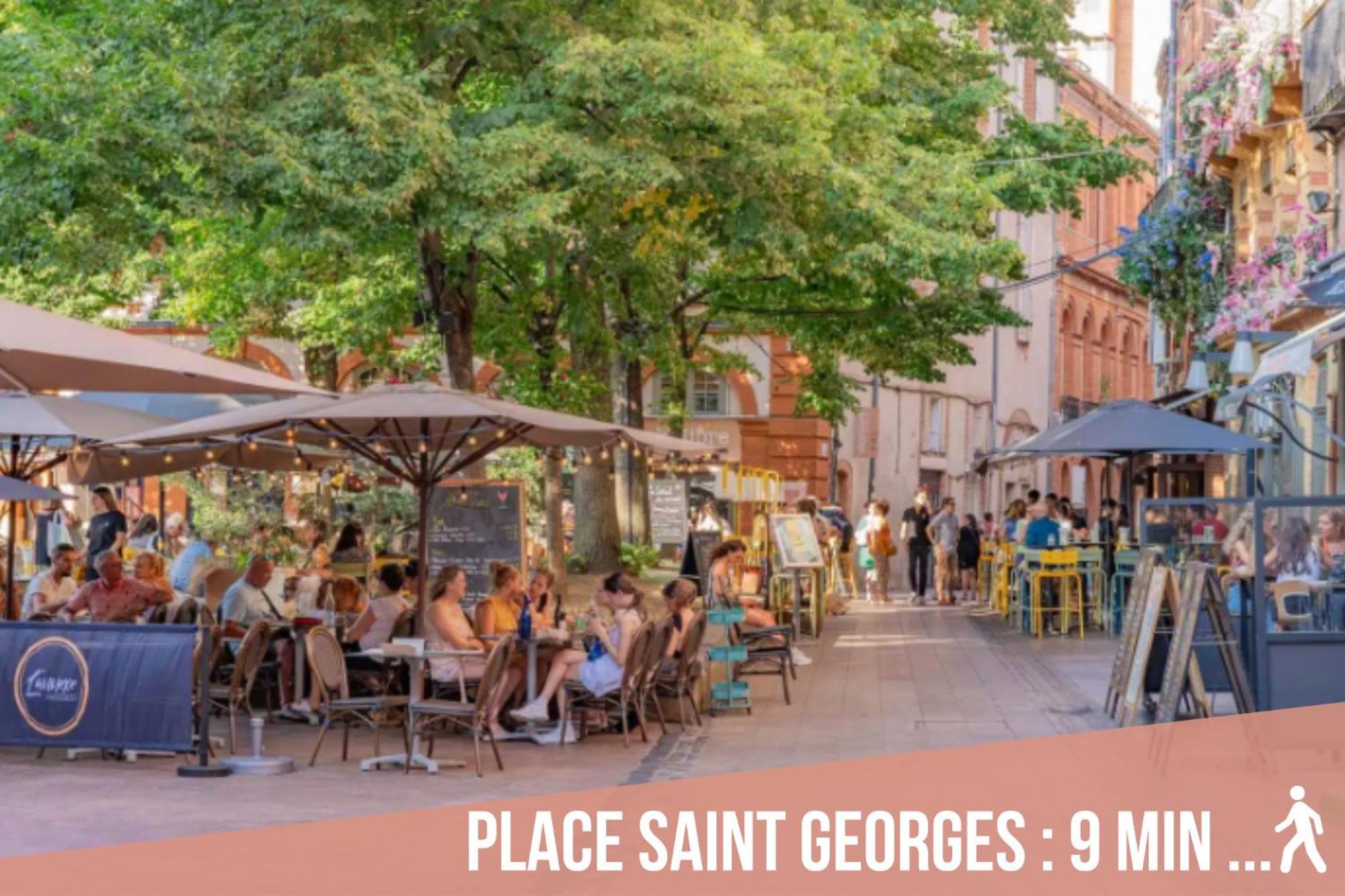 Chartreuse, Clim, Parking, Terrasse Au Calme Apartment ตูลูส ภายนอก รูปภาพ