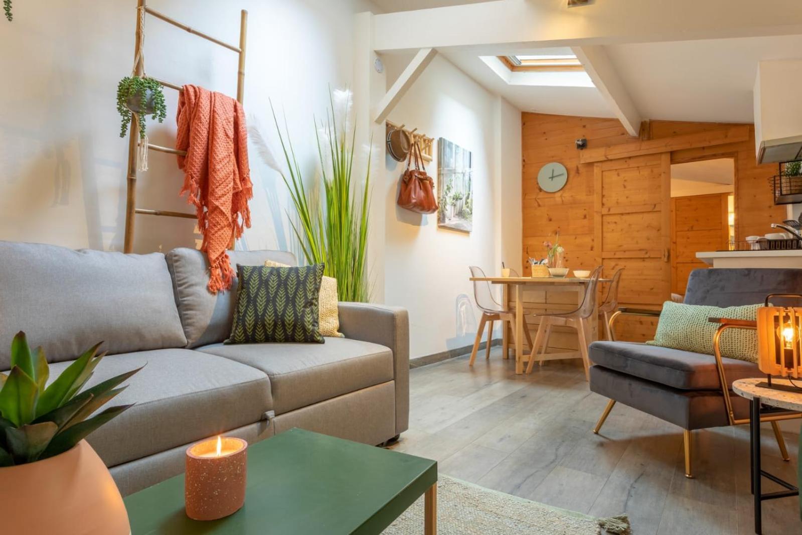 Chartreuse, Clim, Parking, Terrasse Au Calme Apartment ตูลูส ภายนอก รูปภาพ